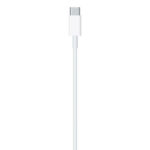 Apple - Original Data Cable A2561 (MM0A3ZM/A) - Type-C to Lightning Thunderbolt 3, 1m - White (Blister Packing) – Image 2